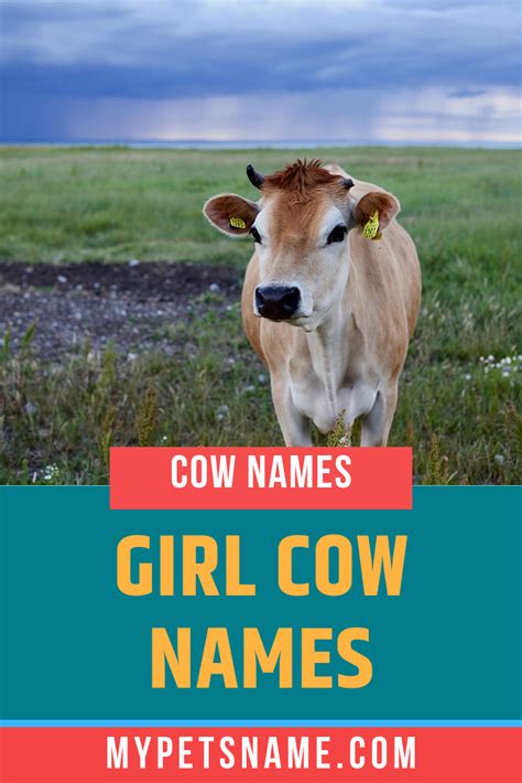 Family cow name ideas – Artofit