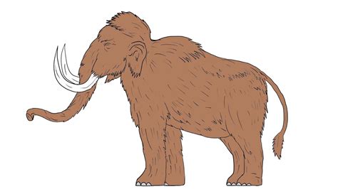 Woolly Mammoth Drawing | Free download on ClipArtMag