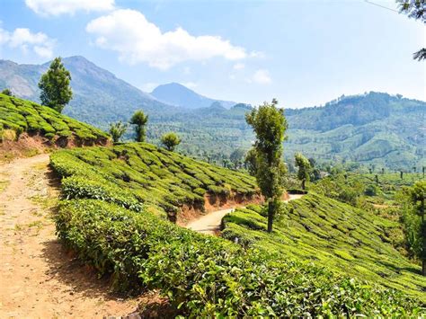 Western Ghats Luxury Trekking Tour (Kerala, India)