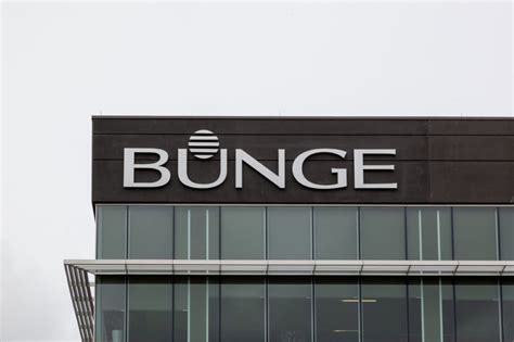 Bunge to build protein concentrate plant | Food Business News