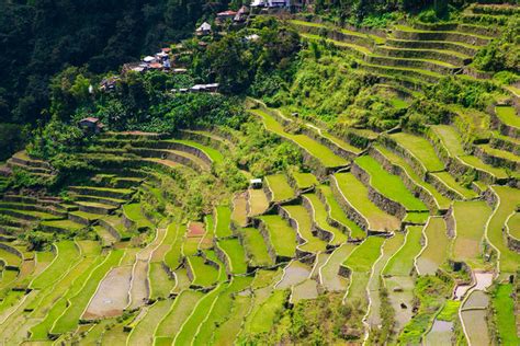 Banaue Rice Terraces Tour | EASTRAVEL | AITO