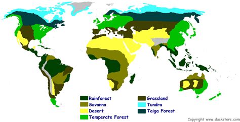 Biomes and Ecosystems : Biomes of the World!