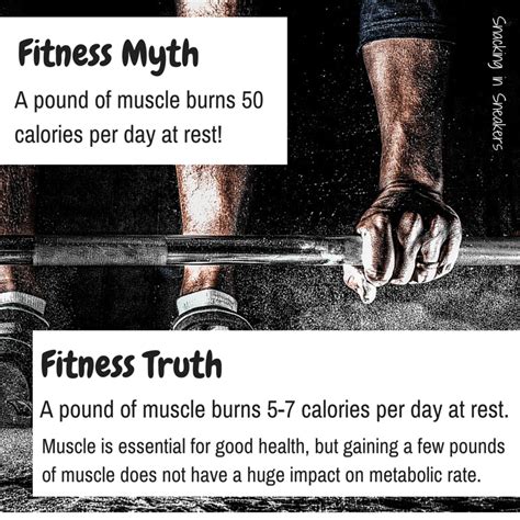 How many calories does a pound of muscle burn? (Hint – it’s probably ...