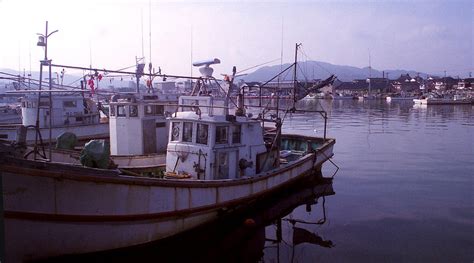 Japanese Fishing Boats Photograph