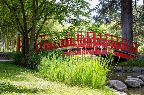 Premium Photo | Traditional red wooden bridge on a japanese garden pond