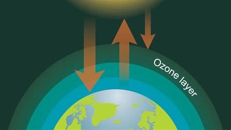 Ozone layer depletion: Cause, effects, and solutions | Environmental News - Business Standard