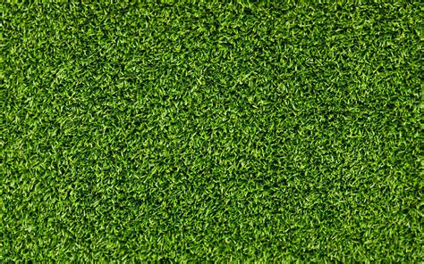 HD Grass Wallpaper (76+ images)