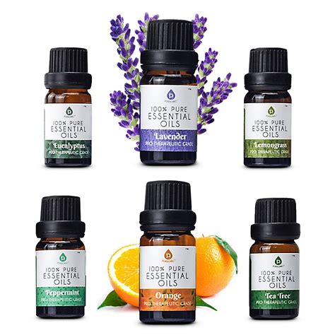 Pursonic 6 Piece 100% Pure Essential Aromatherapy Oils Gift Set & Reviews | Wayfair