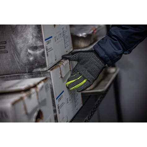 Insulated Freezer Gloves | Ergodyne