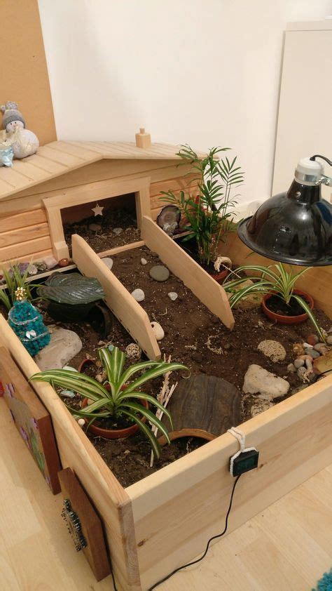 My tortoise enclosure with a few christmas decorations Tortoise House ...