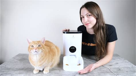 Petlibro Automatic Cat Feeder Review (We Tried It) - YouTube