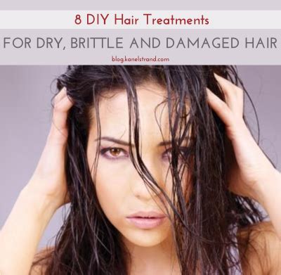 Kanelstrand: 8 DIY Hair Treatments for Dry, Brittle and Damaged Hair