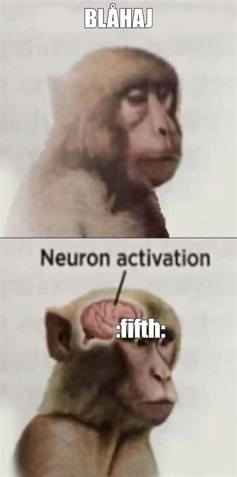 Create meme "neuron activation meme, meme monkey neuron activation ...