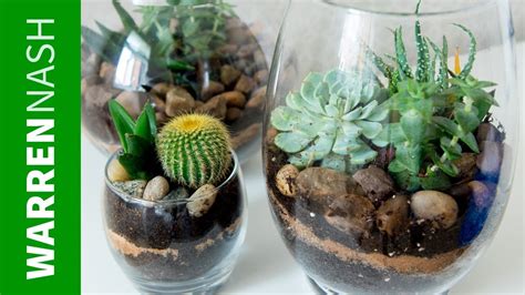 Succulent Planter Ideas - Growing your First Collection - Easy DIY by ...