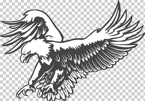 Bald Eagle Clipart Black And White Clipart Best - kulturaupice