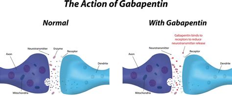 What are the signs someone is addicted to gabapentin?