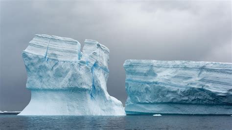 Premium Photo | Beautiful view of the icebergs in the ocean antarctica