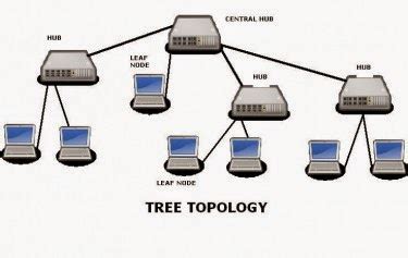 Computer Learning Centre: Computer Network : Tree Network Topology