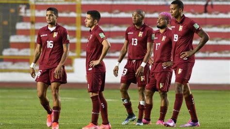 Copa América 2021: 12 miembros del equipo de Venezuela para el torneo ...