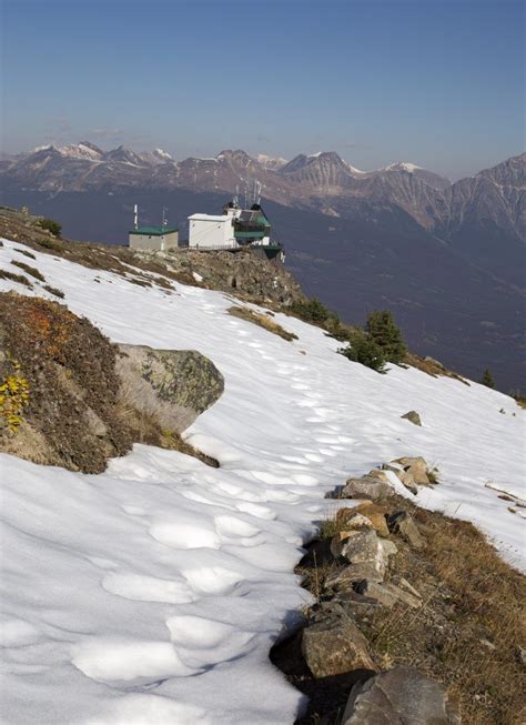 Looking forward to seeing snow in September. Ride the Jasper Skytram to the top of Whistlers ...