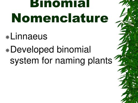 PPT - How Plants are Named PowerPoint Presentation, free download - ID:1484189