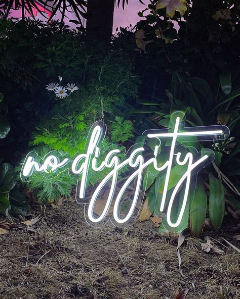 No Diggity Neon Sign – AOOS