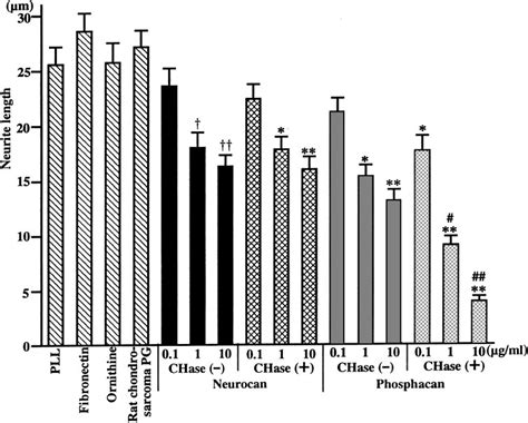 Neurite lengths from RGCs at 48 hours after seeding. Compared with PLL ...