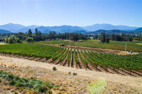 A Complete Guide to the Best Southern Oregon Wineries