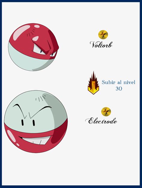 044_voltorb_evoluciones_by_maxconnery-d6g9lty.png (1024×1361) | Evolucion, Cosas