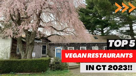 Top 5 Vegan Restaurants to explore in Connecticut in 2023!!! - AmazingCT.com