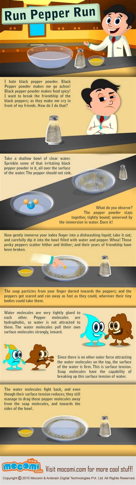 Soap Science Experiment