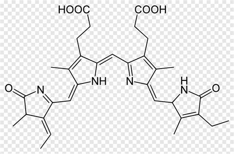 Phycocyanin Phycocyanobilin Phycoerythrobilin Phycobilin Phycobiliprotein, angle, white png | PNGEgg