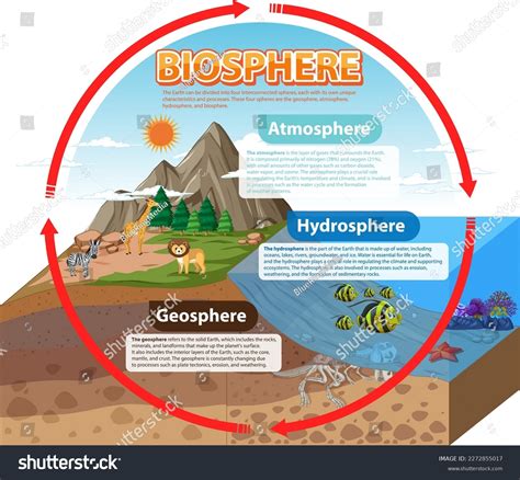 Biosphere Ecology Infographic Learning Illustration Stock Vector (Royalty Free) 2272855017 ...