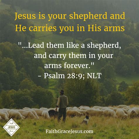 Jesus is our shepherd who carries us in His arms | Faith - Grace - Jesus