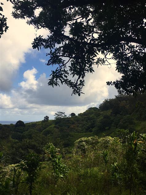 Haiku, Hawaii [1536x2048] [OC] : r/EarthPorn