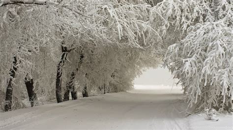 Winter Tunnel Wallpapers - Wallpaper Cave