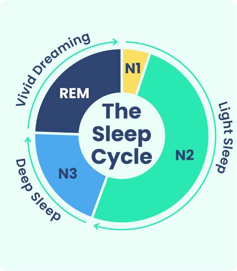 Stages of Sleep: What Happens in a Sleep Cycle | Sleep Foundation