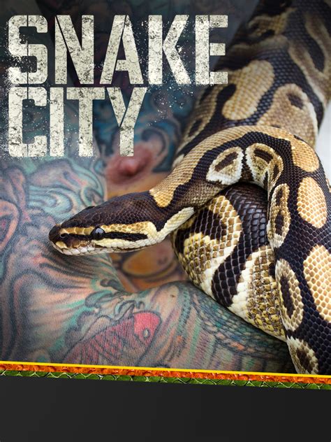 Watch Snake City Online | Season 1 (2014) | TV Guide