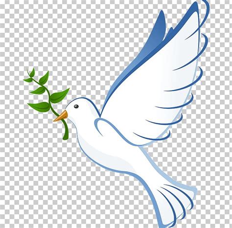 peace dove png 10 free Cliparts | Download images on Clipground 2024