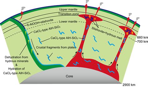 Aluminous silica: A major water carrier in the lower mantle