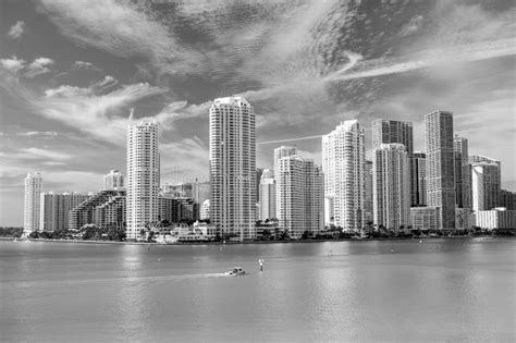 Miami skyline skyscraper stock image. Image of view - 116065781