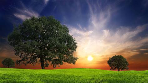 PicZene - Awesome Nature Backgrounds