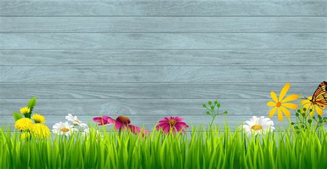 Download Spring Background, Wallpaper, Butterfly. Royalty-Free Stock Illustration Image - Pixabay