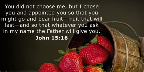 John 15:16 You did not choose me, but I chose you (Listen to, Dramatized or Read) - GNT ...