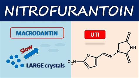 Nitrofurantoin - Mechanism, side effects and uses - YouTube