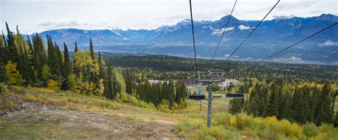 Discover Grizzly Bears Tour in Banff | Discover Banff Tours