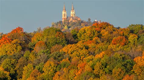 When Wisconsin fall colors and foliage are expected to peak in 2023