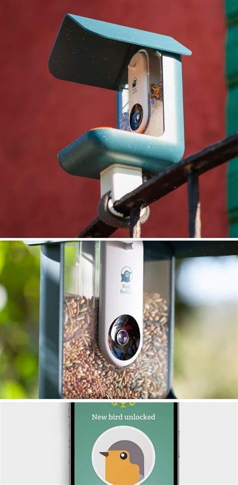 This “Nest Security Camera” for birds lets you bird-watch right from inside your house! in 2021 ...