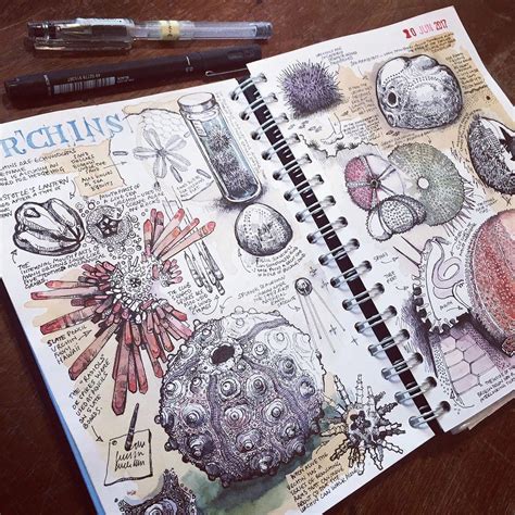 50+ Sketchbook Inspiration Examples That Will Change The Way You Use ...
