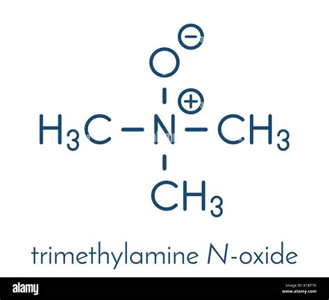 Trimethylamine n oxide molecule hi-res stock photography and images - Alamy